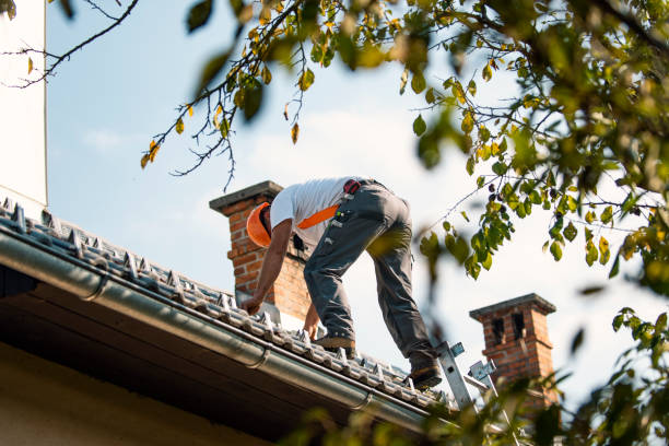 Best New Roof Installation  in Lford, MI