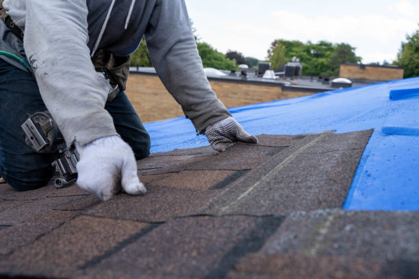 Best Residential Roofing Contractor  in Lford, MI